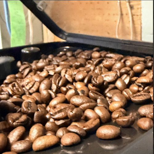 Coffee being poured from the machine<br><audio controls src='/audio/Coffe machine 1.m4a'></audio>