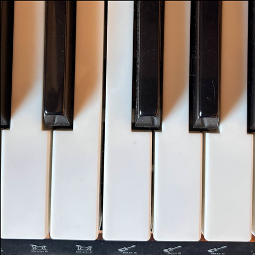 Piano keys playing different notes<br><audio controls src='/audio/Paink sound.m4a'></audio>